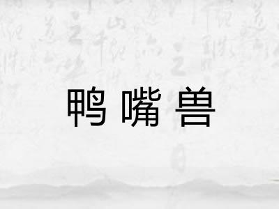 鸭嘴兽 鸭嘴兽