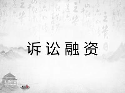 诉讼融资 诉讼融资