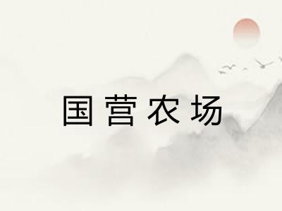 国营农场