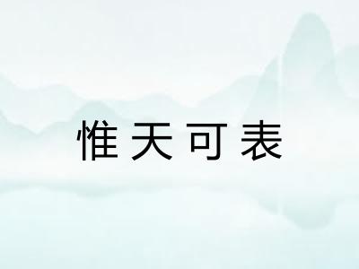 惟天可表