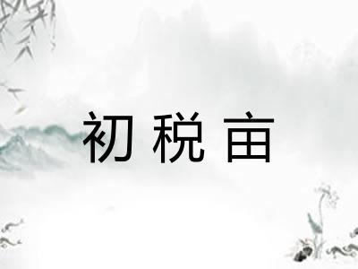 初税亩