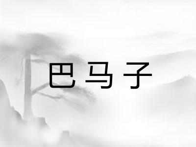 巴马子 巴马子