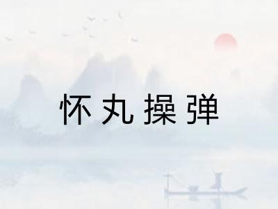 怀丸操弹