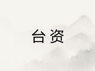 台资 台资