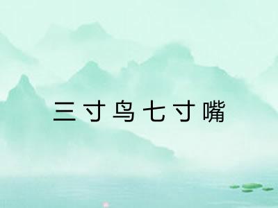 三寸鸟七寸嘴