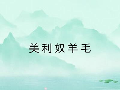美利奴羊毛