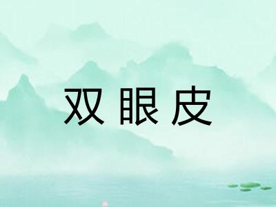 双眼皮 双眼皮