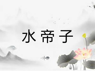水帝子 水帝子