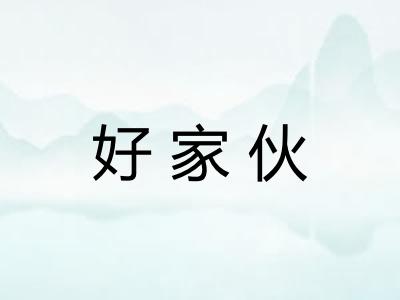 好家伙