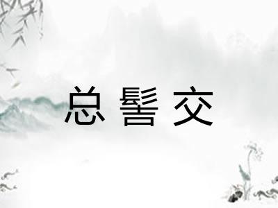 总髻交