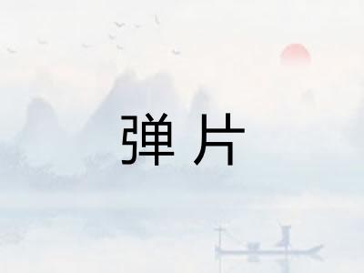 弹片 弹片