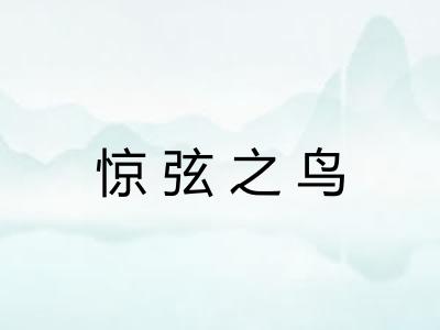 惊弦之鸟 惊弦之鸟