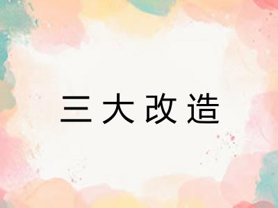 三大改造