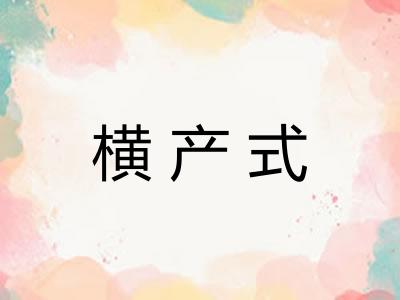 横产式 横产式