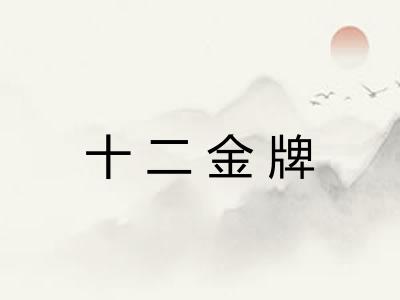 十二金牌