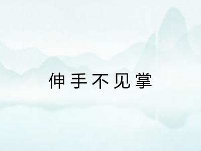 伸手不见掌 伸手不见掌