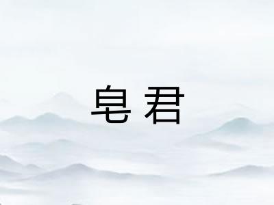 皂君