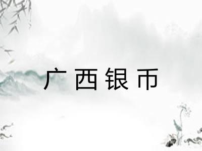 广西银币