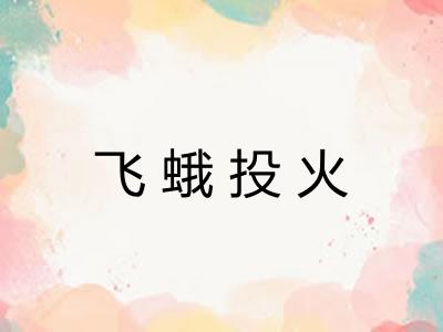 飞蛾投火