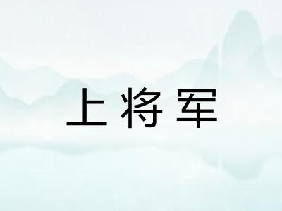上将军