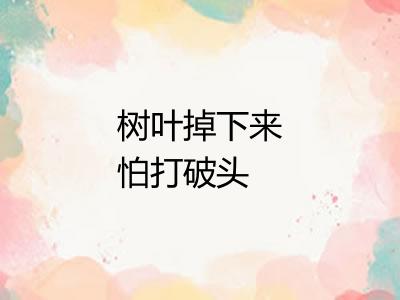 树叶掉下来怕打破头