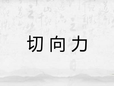 切向力 切向力