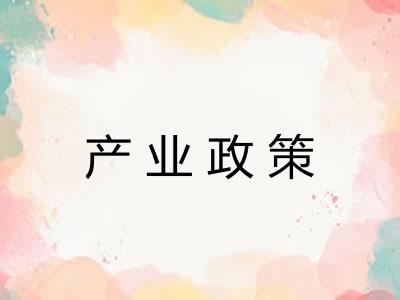 产业政策