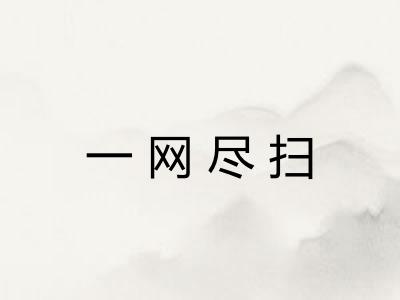 一网尽扫