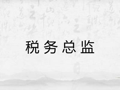 税务总监