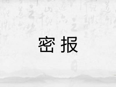 密报
