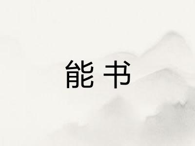 能书