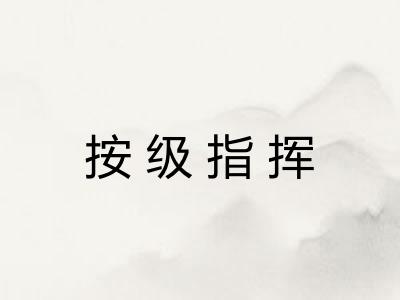 按级指挥