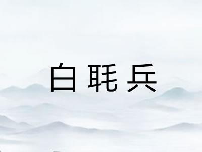 白毦兵