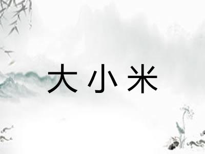 大小米 大小米