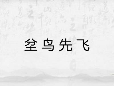 坌鸟先飞