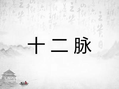 十二脉 十二脉