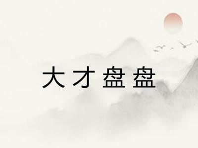 大才盘盘 大才盘盘