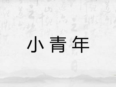 小青年