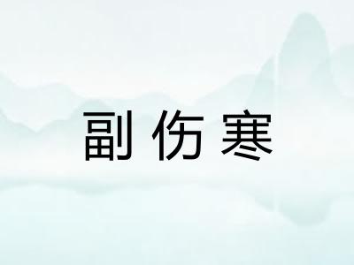 副伤寒