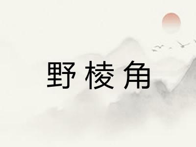 野棱角