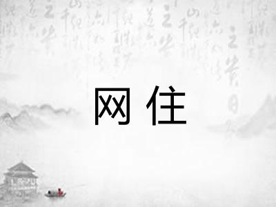 网住
