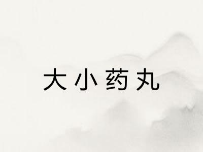 大小药丸 大小药丸