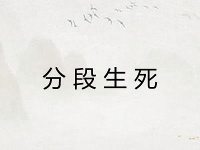 分段生死 分段生死