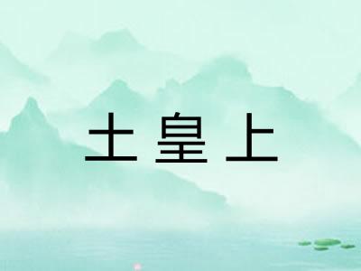 土皇上