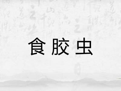 食胶虫
