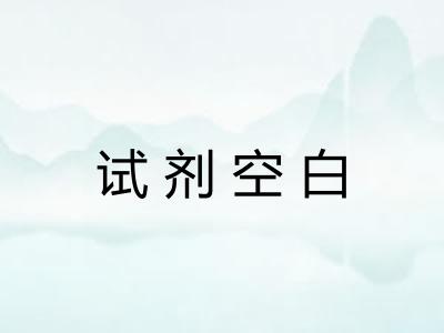 试剂空白