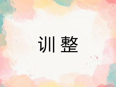 训整