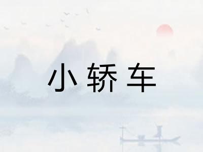 小轿车