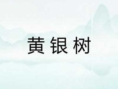 黄银树