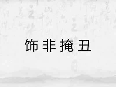 饰非掩丑